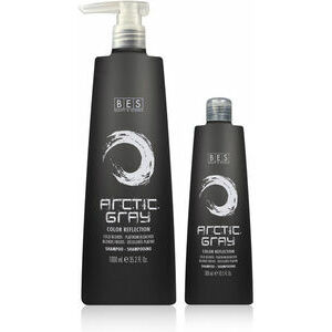 BES Artic Gray Color Reflection Shampoo - tonējošs šampūns, 300ml
