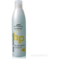 WT Methode Color-Repair Shampoo - Šampūns krāsotiem matiem, 250 ml
