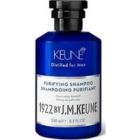 Keune 1922 Purifying Shampoo - Šampūns blaugznu novēršanai, 250ml