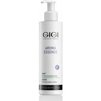 Gigi Aroma Essence Soap for oily skin - Sejas ziepes taukainai un kombinētai ādai, 250ml